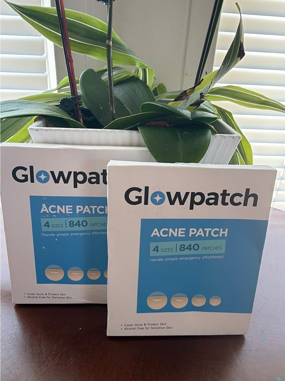 Acne Patch - White with Blue Accents (840 Patches)